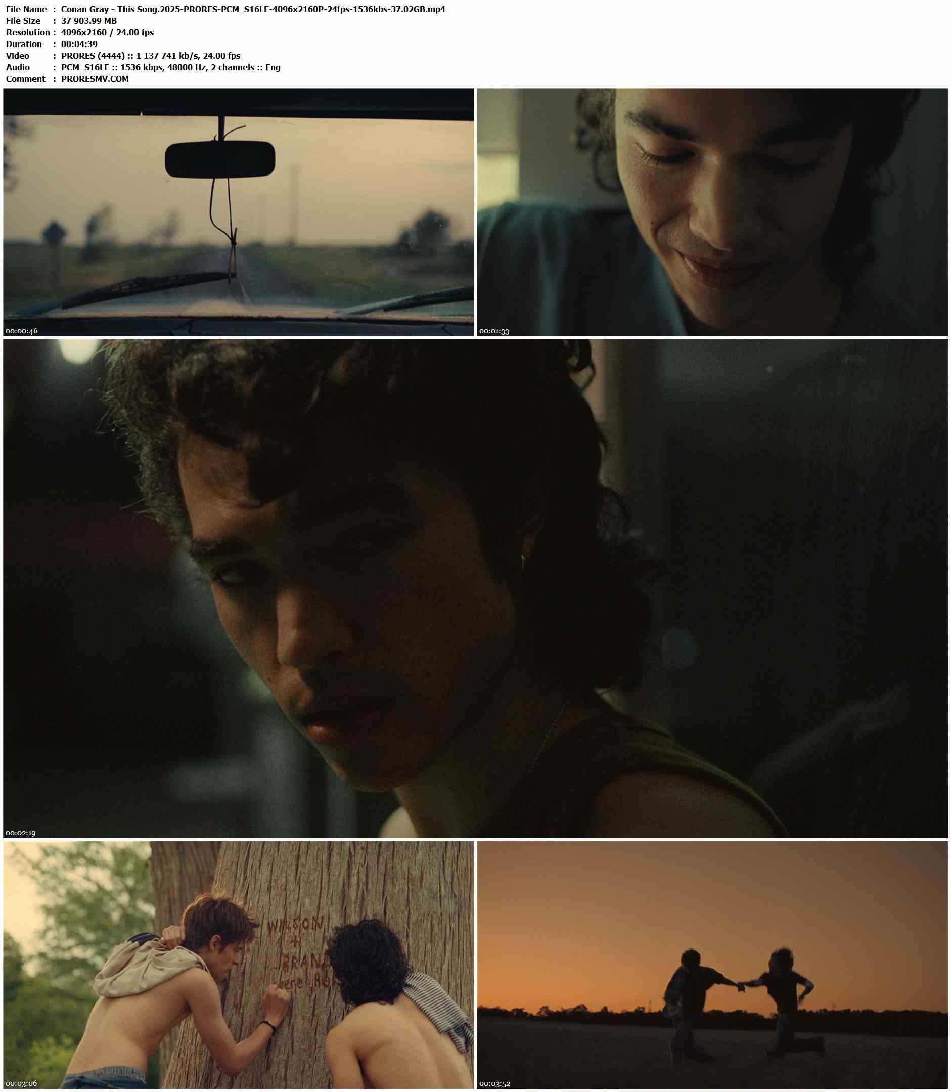 Conan Gray - This Song.2025-PRORES-PCM_S16LE-4096x2160P-24fps-1536kbs-37.02GB官方MV_高清MV